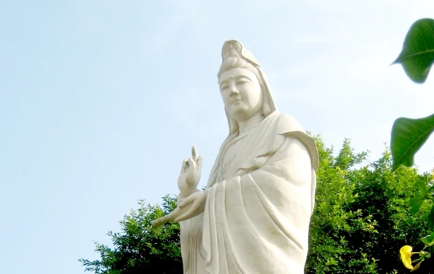 Lắng nghe & trị liệu ảnh 1 Picture 356.jpg