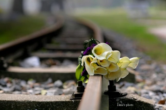 Bước qua chênh vênh ảnh 1 chenh venh.jpg