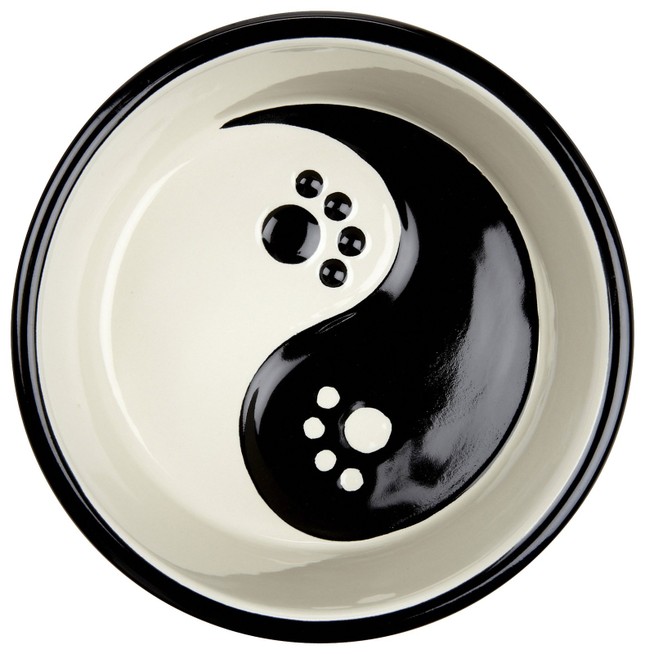SONG DAO.jpg