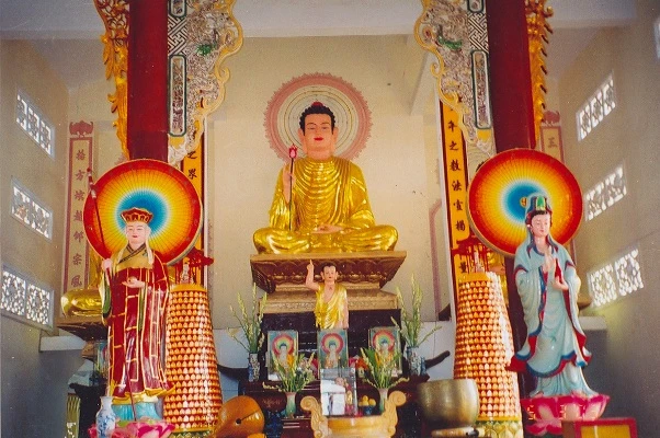 Untitled-17 copy.jpg