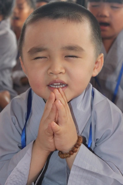 Chùm ảnh khóa tu Gieo hạt từ tâm kỳ 10 ảnh 8 IMG_6533.JPG