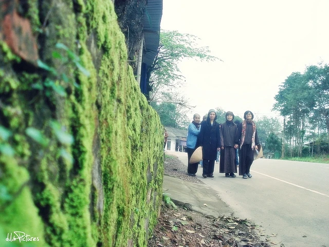 Trai nghiem thien.jpg