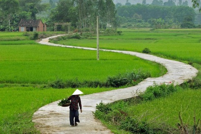 SONG DAO- THICH DUC TRI.jpg