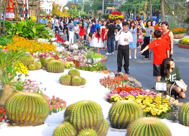 duong hoa nguyen hue.jpg
