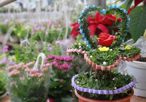 Giá hoa mai tết dự báo năm nay sẽ cao hơn năm ngoái, vì nhiều vườn mai tại TP.HCM và miền Trung do ảnh hưởng thời tiết thất thường nên trổ bông sớm. Chợ hoa bến Bình Đông mới nhóm họp, chưa nhộn nhịp nhưng cũng đã có người đến với hi vọng mua được cây đẹp và giá cả phải chăng. Anh Phan Bá Hữu, quê Bến Tre, chia sẻ vừa rồi được biết nhiều nhà vườn TP.HCM mai bị nở sớm nên năm nay anh đem nhiều hơn các năm trước với hi vọng giá sẽ cao. Một em bé theo cha mẹ lên Sài Gòn để bán hoa. Hiện nay, nhiều cây mai bonsai bắt đầu được tuốt lá để búp nở đúng tết. Nhiều ghe, thuyền của nhà vườn các tỉnh Bến Tre, Đồng Tháp, Vĩnh Long... đã về bến Bình Đông. Cao điểm tết, khu này có khi lên đến hàng trăm chiếc ghe chở hoa san sát nhau, trông rất đẹp mắt. Nhiều loại hoa đủ màu sắc rực rỡ một góc đường. Hoa giấy ghép 3 màu giá mỗi chậu 120.000 - 140.000 đồng. Cô Nguyễn Thị Huệ, quê Bến Tre, cho biết năm nào gia đình cũng vận chuyển cả ngàn cây kiểng lên đây bán, mấy năm trước đem bao nhiêu là bán hết bấy nhiêu. Các loại bonsai với nhiều kích cỡ hình dáng và giá cả khác nhau được trưng bày khá nhiều. Có khá nhiều người ghé qua mua hoa sớm.