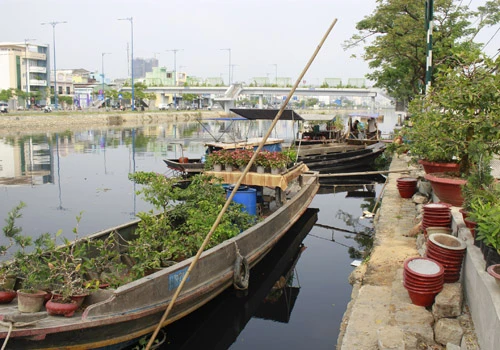 Giá hoa mai tết dự báo năm nay sẽ cao hơn năm ngoái, vì nhiều vườn mai tại TP.HCM và miền Trung do ảnh hưởng thời tiết thất thường nên trổ bông sớm. Chợ hoa bến Bình Đông mới nhóm họp, chưa nhộn nhịp nhưng cũng đã có người đến với hi vọng mua được cây đẹp và giá cả phải chăng. Anh Phan Bá Hữu, quê Bến Tre, chia sẻ vừa rồi được biết nhiều nhà vườn TP.HCM mai bị nở sớm nên năm nay anh đem nhiều hơn các năm trước với hi vọng giá sẽ cao. Một em bé theo cha mẹ lên Sài Gòn để bán hoa. Hiện nay, nhiều cây mai bonsai bắt đầu được tuốt lá để búp nở đúng tết. Nhiều ghe, thuyền của nhà vườn các tỉnh Bến Tre, Đồng Tháp, Vĩnh Long... đã về bến Bình Đông. Cao điểm tết, khu này có khi lên đến hàng trăm chiếc ghe chở hoa san sát nhau, trông rất đẹp mắt. Nhiều loại hoa đủ màu sắc rực rỡ một góc đường. Hoa giấy ghép 3 màu giá mỗi chậu 120.000 - 140.000 đồng. Cô Nguyễn Thị Huệ, quê Bến Tre, cho biết năm nào gia đình cũng vận chuyển cả ngàn cây kiểng lên đây bán, mấy năm trước đem bao nhiêu là bán hết bấy nhiêu. Các loại bonsai với nhiều kích cỡ hình dáng và giá cả khác nhau được trưng bày khá nhiều. Có khá nhiều người ghé qua mua hoa sớm.