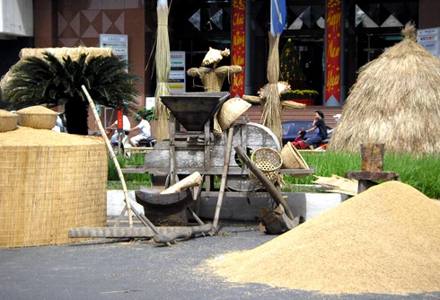 Chùm ảnh đường hoa Nguyễn Huệ qua các năm ảnh 3