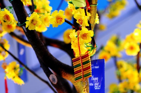 Nhiều tòa nhà lớn ở trung tâm thành phố căng panô, áp phích, đường phố cũng được dọn dẹp thông thoáng để chuẩn bị cho nhiều hoạt động đón năm mới. Đường Đồng Khởi, hệ thống chiếu sáng tiếp tục được lắp đặt, bên cạnh hoa trang trí từ Tết dương lịch. Nhiều con đường ánh sáng sẽ nối tiếp nhau ở trung tâm thành phố. Cổng chào được dựng lên ở công viên Tao Đàn. Tại đây, từ 25 tháng Chạp sẽ khai mạc hội hoa xuân với 8.000 hiện vật về hoa, cây cảnh của các nghệ nhân trong và ngoài nước. Người dân ở nhiều khu chung cư cũng tự bỏ tiền ra sơn sửa lại. Đường hoa Nguyễn Huệ sẽ khai mạc từ sáng 27 Tết. Theo ban tổ chức, chủ đề 2013 sẽ đưa đến các biểu trưng về đất nước. Dọc đường Nguyễn Huệ, các hình khối đã bắt đầu được dựng lên, thành phố sẽ cấm xe trong thời gian tới nhằm đảm bảo việc thi công và lắp đặt các mảng hoa trang trí. Công nhân đang ghép các cành hoa trên đường Phạm Ngọc Thạch, khu trung tâm gần nhà thờ Đức Bà này dự tính sẽ rực vàng trong những ngày xuân Quý Tỵ. Trong khi đó, hoa tươi đã được vận chuyển về trung tâm, lắp ghép ở hai bên đường. Nhiều trung tâm mua sắm, siêu thị trong thành phố đã rực vàng không khí đón năm mới. Năm nay, dù kinh tế khó khăn, sức mua giảm, nhưng các trang trí đón xuân hầu như vẫn được giữ nguyên. Một chiếc đèn lồng khổng lồ trang trí trong một trung tâm thương mại. Trong khi đó, các hoạt động như gói bánh chưng, bánh tét, tìm hiểu về tục lệ Xuân thu hút giới trẻ tham gia. Từ nay tới Tết Nguyên đán, các hoạt động như hội hoa xuân, phố ông đồ sẽ liên tiếp diễn ra. Phần lớn các hoạt động này đều có sự tham gia của các doanh nghiệp.