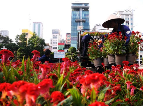 Nhiều tòa nhà lớn ở trung tâm thành phố căng panô, áp phích, đường phố cũng được dọn dẹp thông thoáng để chuẩn bị cho nhiều hoạt động đón năm mới. Đường Đồng Khởi, hệ thống chiếu sáng tiếp tục được lắp đặt, bên cạnh hoa trang trí từ Tết dương lịch. Nhiều con đường ánh sáng sẽ nối tiếp nhau ở trung tâm thành phố. Cổng chào được dựng lên ở công viên Tao Đàn. Tại đây, từ 25 tháng Chạp sẽ khai mạc hội hoa xuân với 8.000 hiện vật về hoa, cây cảnh của các nghệ nhân trong và ngoài nước. Người dân ở nhiều khu chung cư cũng tự bỏ tiền ra sơn sửa lại. Đường hoa Nguyễn Huệ sẽ khai mạc từ sáng 27 Tết. Theo ban tổ chức, chủ đề 2013 sẽ đưa đến các biểu trưng về đất nước. Dọc đường Nguyễn Huệ, các hình khối đã bắt đầu được dựng lên, thành phố sẽ cấm xe trong thời gian tới nhằm đảm bảo việc thi công và lắp đặt các mảng hoa trang trí. Công nhân đang ghép các cành hoa trên đường Phạm Ngọc Thạch, khu trung tâm gần nhà thờ Đức Bà này dự tính sẽ rực vàng trong những ngày xuân Quý Tỵ. Trong khi đó, hoa tươi đã được vận chuyển về trung tâm, lắp ghép ở hai bên đường. Nhiều trung tâm mua sắm, siêu thị trong thành phố đã rực vàng không khí đón năm mới. Năm nay, dù kinh tế khó khăn, sức mua giảm, nhưng các trang trí đón xuân hầu như vẫn được giữ nguyên. Một chiếc đèn lồng khổng lồ trang trí trong một trung tâm thương mại. Trong khi đó, các hoạt động như gói bánh chưng, bánh tét, tìm hiểu về tục lệ Xuân thu hút giới trẻ tham gia. Từ nay tới Tết Nguyên đán, các hoạt động như hội hoa xuân, phố ông đồ sẽ liên tiếp diễn ra. Phần lớn các hoạt động này đều có sự tham gia của các doanh nghiệp.