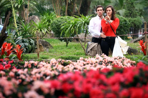 Các công nhân đang hoàn thành công đoạn cuối trang trí hoa tại Hồ Gươm (Hà Nội) để phục vụ người dân thủ đô thưởng ngoạn nhân dịp Tết Nguyên đán 2013. Những ngày này, công nhân đang rục rịch trang trí hoa quanh hồ. Họ đang triển khai công đoạn cuối cùng trước khi phục vụ du khách thưởng ngoạn vào những ngày tới. Không hoành tráng như lễ hội phố hoa như mọi năm, nhưng việc trang trí hoa quanh khu vực trung tâm Hà Nội cũng tạo nên nhiều điểm nhấn. Các công nhân trồng hoa, kiêm luôn bảo vệ. Tình trạng mọi người chụp ảnh, chen lấn vào các vị trí được bố trí hoa diễn ra khá nhiều. Các loại hoa được chuyển tới liên tục. Nhiều hoa từ Đà Lạt, Sapa cũng được mang tới đây. Những chậu hoa nhiều màu sắc lung linh dưới ánh nắng thủ đô. Những hình ảnh hoa đào, quất, chum vại... đón Tết theo phong cách xưa của người Việt Nam. Một em nhỏ "bon chen" chụp ảnh tại rừng hoa Hồ Gươm. Du khách quốc tế không bỏ lỡ cơ hội ghi lại hình ảnh vào xuân đáng nhớ của Hà Nội. Hai bạn trẻ thích thú ngắm vườn lan trắng. Những chậu hoa này sẽ được đặt tại Hồ Gươm trong dịp Tết Nguyên đán Kỷ Tỵ 2013. Dây thừng được căng xung quanh những vườn hâ, tránh tình trạng du khách "xông" thẳng vào để chụp ảnh.