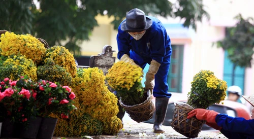 Các công nhân đang hoàn thành công đoạn cuối trang trí hoa tại Hồ Gươm (Hà Nội) để phục vụ người dân thủ đô thưởng ngoạn nhân dịp Tết Nguyên đán 2013. Những ngày này, công nhân đang rục rịch trang trí hoa quanh hồ. Họ đang triển khai công đoạn cuối cùng trước khi phục vụ du khách thưởng ngoạn vào những ngày tới. Không hoành tráng như lễ hội phố hoa như mọi năm, nhưng việc trang trí hoa quanh khu vực trung tâm Hà Nội cũng tạo nên nhiều điểm nhấn. Các công nhân trồng hoa, kiêm luôn bảo vệ. Tình trạng mọi người chụp ảnh, chen lấn vào các vị trí được bố trí hoa diễn ra khá nhiều. Các loại hoa được chuyển tới liên tục. Nhiều hoa từ Đà Lạt, Sapa cũng được mang tới đây. Những chậu hoa nhiều màu sắc lung linh dưới ánh nắng thủ đô. Những hình ảnh hoa đào, quất, chum vại... đón Tết theo phong cách xưa của người Việt Nam. Một em nhỏ "bon chen" chụp ảnh tại rừng hoa Hồ Gươm. Du khách quốc tế không bỏ lỡ cơ hội ghi lại hình ảnh vào xuân đáng nhớ của Hà Nội. Hai bạn trẻ thích thú ngắm vườn lan trắng. Những chậu hoa này sẽ được đặt tại Hồ Gươm trong dịp Tết Nguyên đán Kỷ Tỵ 2013. Dây thừng được căng xung quanh những vườn hâ, tránh tình trạng du khách "xông" thẳng vào để chụp ảnh.