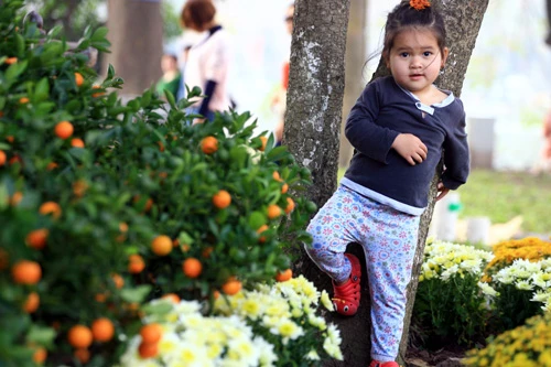 Các công nhân đang hoàn thành công đoạn cuối trang trí hoa tại Hồ Gươm (Hà Nội) để phục vụ người dân thủ đô thưởng ngoạn nhân dịp Tết Nguyên đán 2013. Những ngày này, công nhân đang rục rịch trang trí hoa quanh hồ. Họ đang triển khai công đoạn cuối cùng trước khi phục vụ du khách thưởng ngoạn vào những ngày tới. Không hoành tráng như lễ hội phố hoa như mọi năm, nhưng việc trang trí hoa quanh khu vực trung tâm Hà Nội cũng tạo nên nhiều điểm nhấn. Các công nhân trồng hoa, kiêm luôn bảo vệ. Tình trạng mọi người chụp ảnh, chen lấn vào các vị trí được bố trí hoa diễn ra khá nhiều. Các loại hoa được chuyển tới liên tục. Nhiều hoa từ Đà Lạt, Sapa cũng được mang tới đây. Những chậu hoa nhiều màu sắc lung linh dưới ánh nắng thủ đô. Những hình ảnh hoa đào, quất, chum vại... đón Tết theo phong cách xưa của người Việt Nam. Một em nhỏ "bon chen" chụp ảnh tại rừng hoa Hồ Gươm. Du khách quốc tế không bỏ lỡ cơ hội ghi lại hình ảnh vào xuân đáng nhớ của Hà Nội. Hai bạn trẻ thích thú ngắm vườn lan trắng. Những chậu hoa này sẽ được đặt tại Hồ Gươm trong dịp Tết Nguyên đán Kỷ Tỵ 2013. Dây thừng được căng xung quanh những vườn hâ, tránh tình trạng du khách "xông" thẳng vào để chụp ảnh.