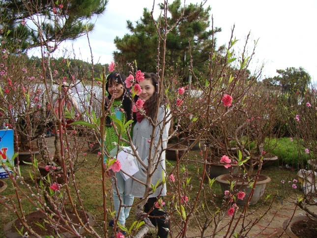 thieu nu dalat.jpg
