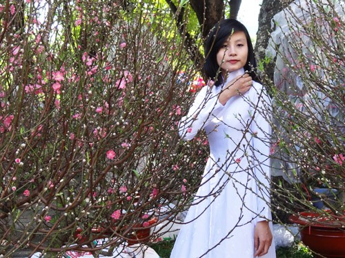 Khai mạc chợ hoa tết ở TP.HCM: Rực rỡ sắc màu ảnh 10 Khai mạc chợ hoa tết ở TP.HCM: Rực rỡ sắc màu ảnh 10