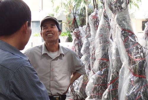 Khai mạc chợ hoa tết ở TP.HCM: Rực rỡ sắc màu ảnh 11 Khai mạc chợ hoa tết ở TP.HCM: Rực rỡ sắc màu ảnh 11