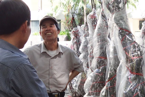 Khai mạc chợ hoa tết ở TP.HCM: Rực rỡ sắc màu ảnh 11