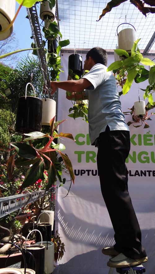 Khai mạc chợ hoa tết ở TP.HCM: Rực rỡ sắc màu ảnh 21 Khai mạc chợ hoa tết ở TP.HCM: Rực rỡ sắc màu ảnh 21