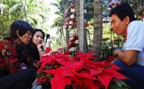 Khai mạc chợ hoa tết ở TP.HCM: Rực rỡ sắc màu ảnh 23 Khai mạc chợ hoa tết ở TP.HCM: Rực rỡ sắc màu ảnh 23