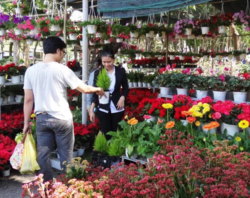 Khai mạc chợ hoa tết ở TP.HCM: Rực rỡ sắc màu ảnh 25