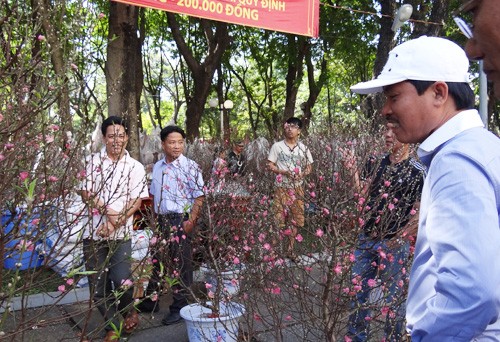 Khai mạc chợ hoa tết ở TP.HCM: Rực rỡ sắc màu ảnh 6 Khai mạc chợ hoa tết ở TP.HCM: Rực rỡ sắc màu ảnh 6