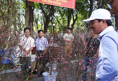 Khai mạc chợ hoa tết ở TP.HCM: Rực rỡ sắc màu ảnh 6