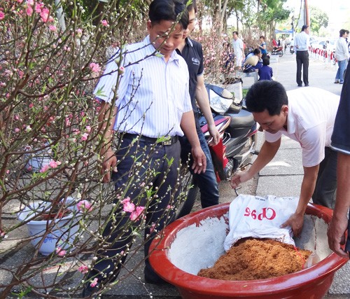 Khai mạc chợ hoa tết ở TP.HCM: Rực rỡ sắc màu ảnh 8 Khai mạc chợ hoa tết ở TP.HCM: Rực rỡ sắc màu ảnh 8