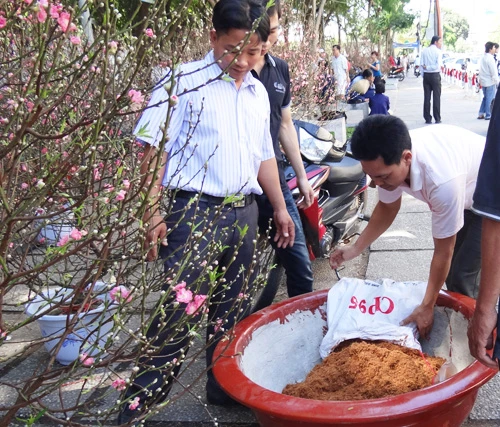 Khai mạc chợ hoa tết ở TP.HCM: Rực rỡ sắc màu ảnh 8