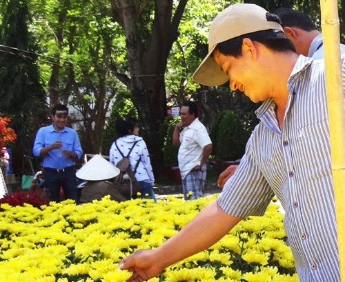 Khai mạc chợ hoa tết ở TP.HCM: Rực rỡ sắc màu ảnh 17 Khai mạc chợ hoa tết ở TP.HCM: Rực rỡ sắc màu ảnh 17