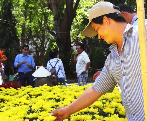 Khai mạc chợ hoa tết ở TP.HCM: Rực rỡ sắc màu ảnh 17