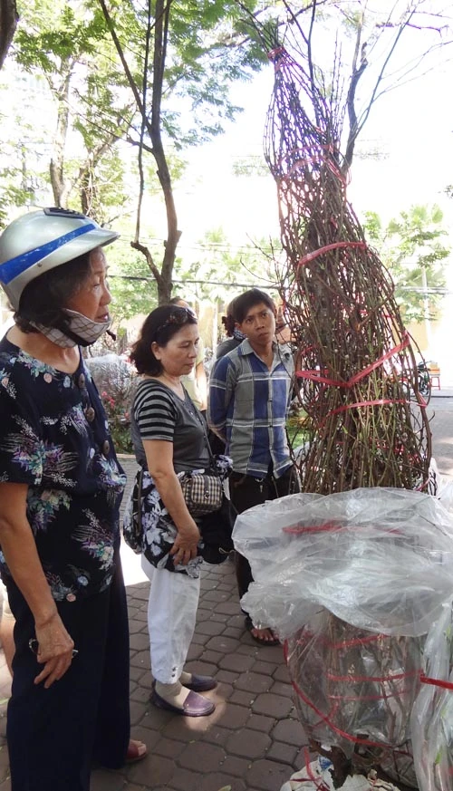 Khai mạc chợ hoa tết ở TP.HCM: Rực rỡ sắc màu ảnh 12
