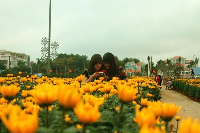 Quảng Nam: Rộn ràng Hội hoa xuân và Hội báo xuân ảnh 6 hoaxuanquangnam3.JPG