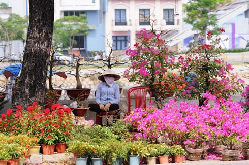 Như thông lệ, chợ hoa bến Bình Đông họp một tuần trước Tết. Tuy nhiên, các ghe thuyền đã chở hoa về tập trung từ nhiều ngày trước đó. Những ngày đầu, chợ hoa còn vắng. Theo nhiều người bán hàng, cách Tết 4 - 5 ngày chợ có thể mới đông. So với nhiều năm, lượng hàng bán ra năm nay ít hơn và có thể ế ẩm một số mặt hàng. Chợ hoa ở bến Bình Đông là địa chỉ tập trung nhiều loại hoa khác nhau, có mức giá tốt hơn các hội hoa ở trong thành phố. Tuy nhiên, mặt hàng lại tập trung vào các loài hoa từ miền Tây đổ về và thiếu hoa đào, tầm xuân từ phía Bắc vận chuyển vào. Quất hồng bì được các chủ hoa chăm sóc kỹ càng, giá một chậu từ 500.000 đến một triệu đồng, nhưng ít khách mua. Hoa được trồng trong những bình nhỏ đẹp bắt mắt, giá 50.000 - 100.000 đồng một giỏ. Các giò hoa mào gà, cúc... được người mua chú ý. Theo một khách hàng, giá tốt và màu sắc rực rỡ, hợp với không khí xuân là lý do những bình hoa này "ăn khách". Trong khi đó, lượng người mua cây cảnh, bonsai trong những ngày đầu rất chậm. Những chậu mai lớn có giá vài triệu đồng. Hoa mai từ lâu không thể thiếu trong dịp Tết của người miền Nam, tuy nhiên, nhiều người có thể chọn các bình hoa nhỏ để tiết kiệm hơn.