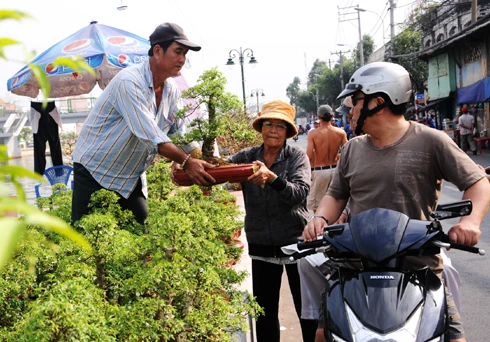 Như thông lệ, chợ hoa bến Bình Đông họp một tuần trước Tết. Tuy nhiên, các ghe thuyền đã chở hoa về tập trung từ nhiều ngày trước đó. Những ngày đầu, chợ hoa còn vắng. Theo nhiều người bán hàng, cách Tết 4 - 5 ngày chợ có thể mới đông. So với nhiều năm, lượng hàng bán ra năm nay ít hơn và có thể ế ẩm một số mặt hàng. Chợ hoa ở bến Bình Đông là địa chỉ tập trung nhiều loại hoa khác nhau, có mức giá tốt hơn các hội hoa ở trong thành phố. Tuy nhiên, mặt hàng lại tập trung vào các loài hoa từ miền Tây đổ về và thiếu hoa đào, tầm xuân từ phía Bắc vận chuyển vào. Quất hồng bì được các chủ hoa chăm sóc kỹ càng, giá một chậu từ 500.000 đến một triệu đồng, nhưng ít khách mua. Hoa được trồng trong những bình nhỏ đẹp bắt mắt, giá 50.000 - 100.000 đồng một giỏ. Các giò hoa mào gà, cúc... được người mua chú ý. Theo một khách hàng, giá tốt và màu sắc rực rỡ, hợp với không khí xuân là lý do những bình hoa này "ăn khách". Trong khi đó, lượng người mua cây cảnh, bonsai trong những ngày đầu rất chậm. Những chậu mai lớn có giá vài triệu đồng. Hoa mai từ lâu không thể thiếu trong dịp Tết của người miền Nam, tuy nhiên, nhiều người có thể chọn các bình hoa nhỏ để tiết kiệm hơn.