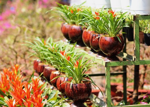 Như thông lệ, chợ hoa bến Bình Đông họp một tuần trước Tết. Tuy nhiên, các ghe thuyền đã chở hoa về tập trung từ nhiều ngày trước đó. Những ngày đầu, chợ hoa còn vắng. Theo nhiều người bán hàng, cách Tết 4 - 5 ngày chợ có thể mới đông. So với nhiều năm, lượng hàng bán ra năm nay ít hơn và có thể ế ẩm một số mặt hàng. Chợ hoa ở bến Bình Đông là địa chỉ tập trung nhiều loại hoa khác nhau, có mức giá tốt hơn các hội hoa ở trong thành phố. Tuy nhiên, mặt hàng lại tập trung vào các loài hoa từ miền Tây đổ về và thiếu hoa đào, tầm xuân từ phía Bắc vận chuyển vào. Quất hồng bì được các chủ hoa chăm sóc kỹ càng, giá một chậu từ 500.000 đến một triệu đồng, nhưng ít khách mua. Hoa được trồng trong những bình nhỏ đẹp bắt mắt, giá 50.000 - 100.000 đồng một giỏ. Các giò hoa mào gà, cúc... được người mua chú ý. Theo một khách hàng, giá tốt và màu sắc rực rỡ, hợp với không khí xuân là lý do những bình hoa này "ăn khách". Trong khi đó, lượng người mua cây cảnh, bonsai trong những ngày đầu rất chậm. Những chậu mai lớn có giá vài triệu đồng. Hoa mai từ lâu không thể thiếu trong dịp Tết của người miền Nam, tuy nhiên, nhiều người có thể chọn các bình hoa nhỏ để tiết kiệm hơn.