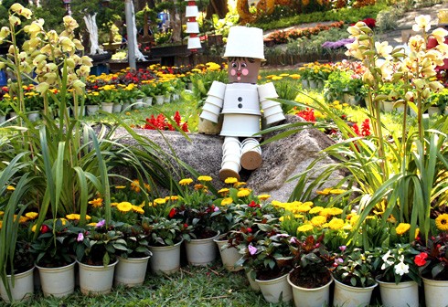 Cũng như mọi năm, Ban tổ chức dành riêng một khu vực cho các loài hoa ôn đới. Cũng như mọi năm, Ban tổ chức dành riêng một khu vực cho các loài hoa ôn đới.