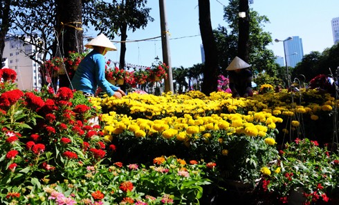 Sau những tuyến đường lớn như Đồng Khởi, Lê Duẩn, Lê Lợi, một số phố khác ở trung tâm thành phố cũng hoàn thành việc trang trí Tết. Đây là năm mà TP HCM có nhiều tuyến được thắp sáng bằng các dải đèn màu, theo từng chủ đề khác nhau. Thương xá Tax năm nay lấy màu hoa mai làm chủ đạo với ánh đèn đỏ, ấm vàng. Bên dưới là các trang trí Tết, từ 18h, rất đông người đến chụp ảnh và ngắm không khí xuân. Trong khi đó, từ các cửa hiệu lớn... ... đến các trung tâm thương mại, khách sạn bắt đầu trang trí bằng ánh sáng đủ màu. Đường hoa Nguyễn Huệ đang bước vào những ngày cuối cùng trước khi khai mạc sáng 27 tháng Chạp. Các biểu tượng năm rắn và quê hương đất nước đã gần hoàn thành. Những công nhân đang tưới các giò hoa treo cao. Mỗi chủ đề trên con đường hoa năm nay được dàn dựng bằng các hình ảnh mang cảnh sắc quen thuộc của Việt Nam. Rặng tre, ruộng lúa và khóm hoa xuất hiện giữa đường. Nhiều tuyến phố trung tâm thành phố được trang trí bằng đủ các loại hoa sặc sỡ. Tượng đài Hồ Chủ tịch trước UBND thành phố với sen chủ đạo và các cánh hoa màu sắc khác nhau. Các con thuyền hoa bên cạnh hồ Bán nguyệt, quận 7. Các hội chợ, lễ hội hoa đã diễn ra từ ngày 23 tháng Chạp. Năm nay, hoa từ các tỉnh miền Tây và phía Bắc chuyển về nhiều, mức giá vừa phải. Trong những ngày đầu mở cửa, lượng khách vãn cảnh nhiều, nhưng người mua ít.