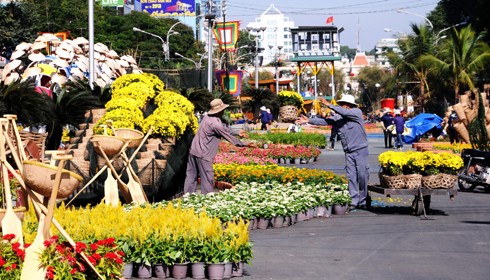 Sau những tuyến đường lớn như Đồng Khởi, Lê Duẩn, Lê Lợi, một số phố khác ở trung tâm thành phố cũng hoàn thành việc trang trí Tết. Đây là năm mà TP HCM có nhiều tuyến được thắp sáng bằng các dải đèn màu, theo từng chủ đề khác nhau. Thương xá Tax năm nay lấy màu hoa mai làm chủ đạo với ánh đèn đỏ, ấm vàng. Bên dưới là các trang trí Tết, từ 18h, rất đông người đến chụp ảnh và ngắm không khí xuân. Trong khi đó, từ các cửa hiệu lớn... ... đến các trung tâm thương mại, khách sạn bắt đầu trang trí bằng ánh sáng đủ màu. Đường hoa Nguyễn Huệ đang bước vào những ngày cuối cùng trước khi khai mạc sáng 27 tháng Chạp. Các biểu tượng năm rắn và quê hương đất nước đã gần hoàn thành. Những công nhân đang tưới các giò hoa treo cao. Mỗi chủ đề trên con đường hoa năm nay được dàn dựng bằng các hình ảnh mang cảnh sắc quen thuộc của Việt Nam. Rặng tre, ruộng lúa và khóm hoa xuất hiện giữa đường. Nhiều tuyến phố trung tâm thành phố được trang trí bằng đủ các loại hoa sặc sỡ. Tượng đài Hồ Chủ tịch trước UBND thành phố với sen chủ đạo và các cánh hoa màu sắc khác nhau. Các con thuyền hoa bên cạnh hồ Bán nguyệt, quận 7. Các hội chợ, lễ hội hoa đã diễn ra từ ngày 23 tháng Chạp. Năm nay, hoa từ các tỉnh miền Tây và phía Bắc chuyển về nhiều, mức giá vừa phải. Trong những ngày đầu mở cửa, lượng khách vãn cảnh nhiều, nhưng người mua ít.