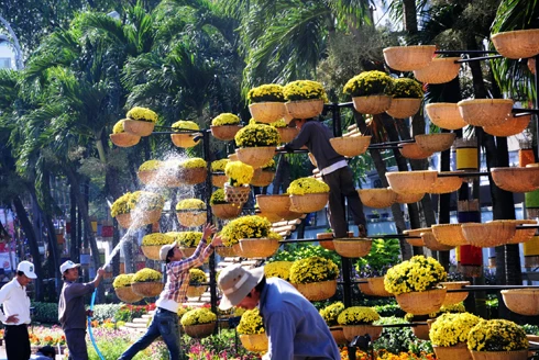 Sau những tuyến đường lớn như Đồng Khởi, Lê Duẩn, Lê Lợi, một số phố khác ở trung tâm thành phố cũng hoàn thành việc trang trí Tết. Đây là năm mà TP HCM có nhiều tuyến được thắp sáng bằng các dải đèn màu, theo từng chủ đề khác nhau. Thương xá Tax năm nay lấy màu hoa mai làm chủ đạo với ánh đèn đỏ, ấm vàng. Bên dưới là các trang trí Tết, từ 18h, rất đông người đến chụp ảnh và ngắm không khí xuân. Trong khi đó, từ các cửa hiệu lớn... ... đến các trung tâm thương mại, khách sạn bắt đầu trang trí bằng ánh sáng đủ màu. Đường hoa Nguyễn Huệ đang bước vào những ngày cuối cùng trước khi khai mạc sáng 27 tháng Chạp. Các biểu tượng năm rắn và quê hương đất nước đã gần hoàn thành. Những công nhân đang tưới các giò hoa treo cao. Mỗi chủ đề trên con đường hoa năm nay được dàn dựng bằng các hình ảnh mang cảnh sắc quen thuộc của Việt Nam. Rặng tre, ruộng lúa và khóm hoa xuất hiện giữa đường. Nhiều tuyến phố trung tâm thành phố được trang trí bằng đủ các loại hoa sặc sỡ. Tượng đài Hồ Chủ tịch trước UBND thành phố với sen chủ đạo và các cánh hoa màu sắc khác nhau. Các con thuyền hoa bên cạnh hồ Bán nguyệt, quận 7. Các hội chợ, lễ hội hoa đã diễn ra từ ngày 23 tháng Chạp. Năm nay, hoa từ các tỉnh miền Tây và phía Bắc chuyển về nhiều, mức giá vừa phải. Trong những ngày đầu mở cửa, lượng khách vãn cảnh nhiều, nhưng người mua ít.