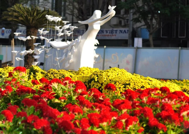 duong hoa nguyen hue (1).jpg