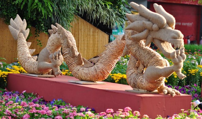 duong hoa nguyen hue (14).jpg