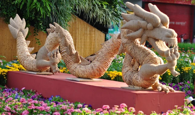 duong hoa nguyen hue (14).jpg