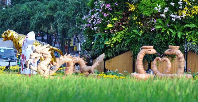 duong hoa nguyen hue (17).jpg