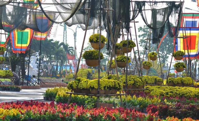 duong hoa nguyen hue (18).jpg