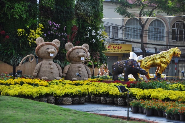 duong hoa nguyen hue (4).jpg