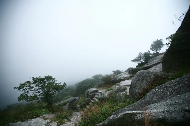 Từ ngọn cỏ đến ngôi sao ảnh 1 loi len Yen Tu.JPG