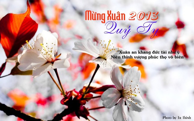 Làm thiệp chúc Tết chư tôn đức ảnh 2 thiep tet11.jpg