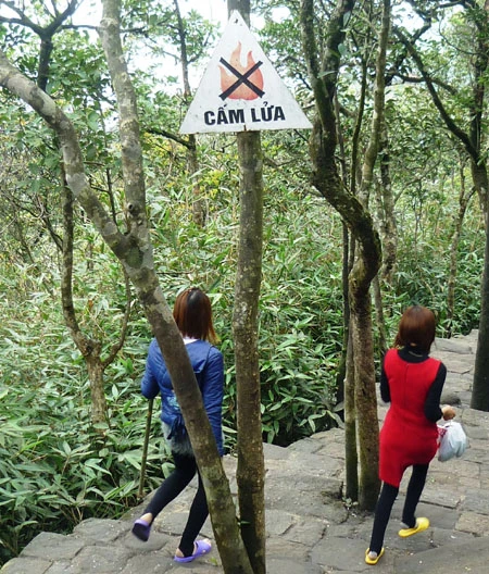 Khách thập phương nô nức du xuân về Yên Tử. Du khách có thể bộ hành... Hoặc thưởng ngoạn cảnh sắc núi non Yên tử từ cáp treo. Tình nguyện viên hướng dẫn du khách hành hương lên chùa. Bãi trông giữ xe được quy hoạch theo từng khu vực. Thùng rác công cộng đặt tại nhiều nơi thuận tiện. Nhân viên vệ sinh dang thu gom rác. Xe cứu thương... .... và xe cứu hỏa luôn túc trực để đề phòng sự cố. Công tác an ninh trật tự, phòng chống cháy nổ luôn được quan tâm đặc biệt tại mùa Lễ hội.