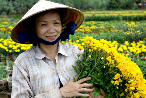 Xuân trên đôi tay mẹ. Ảnh minh họa: Anh Thư Xuân trên đôi tay mẹ. Ảnh minh họa: Anh Thư