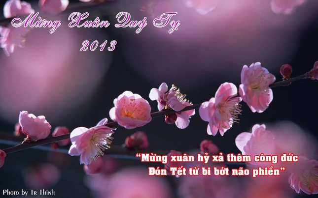 Làm thiệp chúc Tết chư tôn đức ảnh 3 thiep xuan.jpg