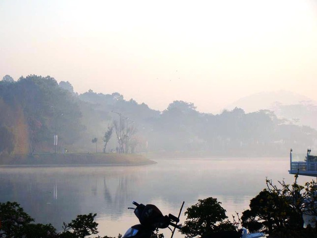 sac hoa anh dao02.jpg